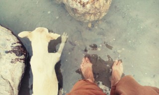 moje nohy v řece a pes, co se přišel osvěžit