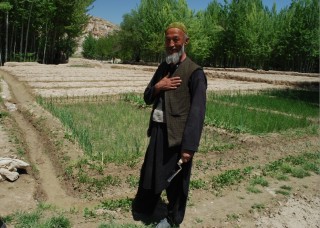 Češi pomáhají drobným zemědělcům v Afghánistánu pěstovat tradiční plodiny (Foto: Jan Svitálek, PIN)