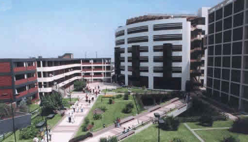 Pohled do areálu univerzity (foto z internetu)