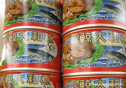 Konzervy velrybiho masa v supermarketu japonske pobocce fiirmy TESCO.